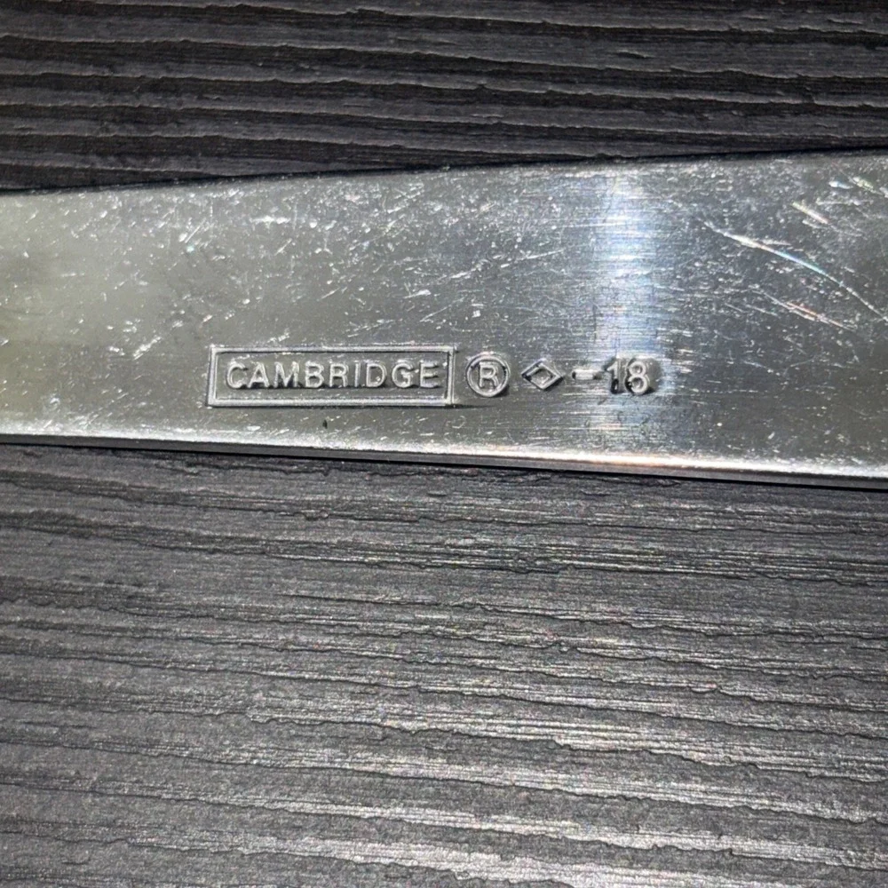 Lot of 4 Cambridge Silver Boa Frost Stainless Flatware Spoons